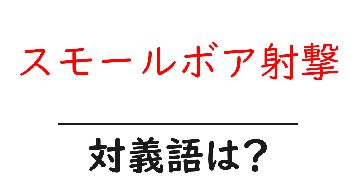 スモールボア射撃の対義語・反対語を使用例を交えて分かりやすく解説!