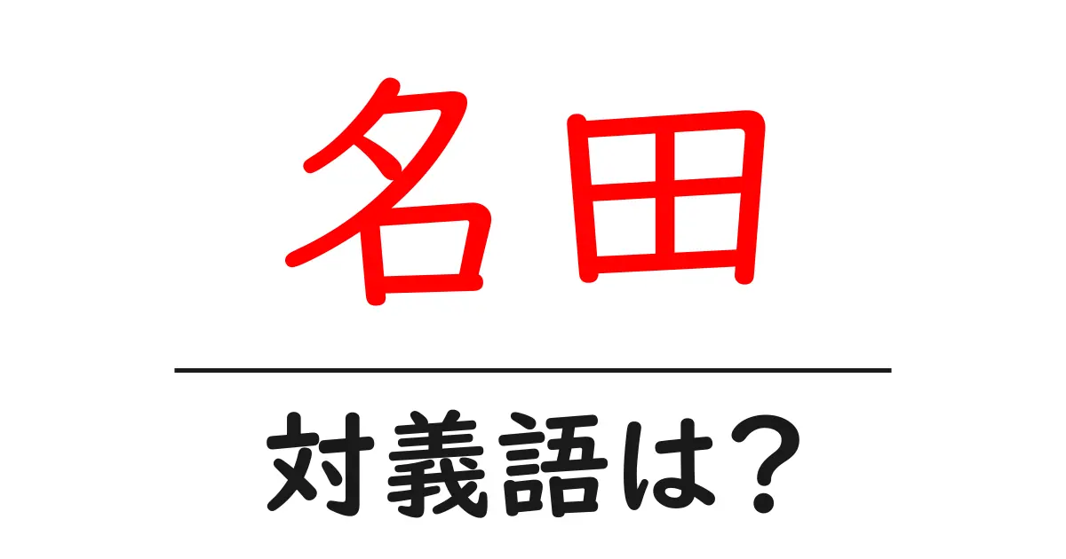 名田の対義語・反対語を使用例を交えて分かりやすく解説!