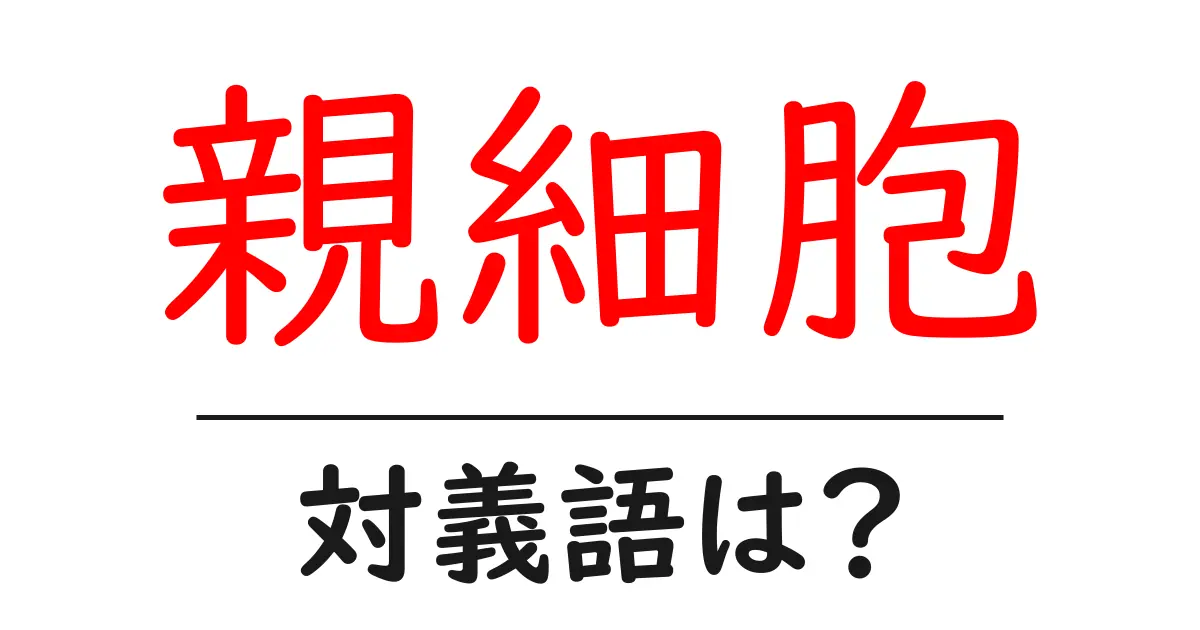 親細胞の対義語・反対語を使用例を交えて分かりやすく解説!