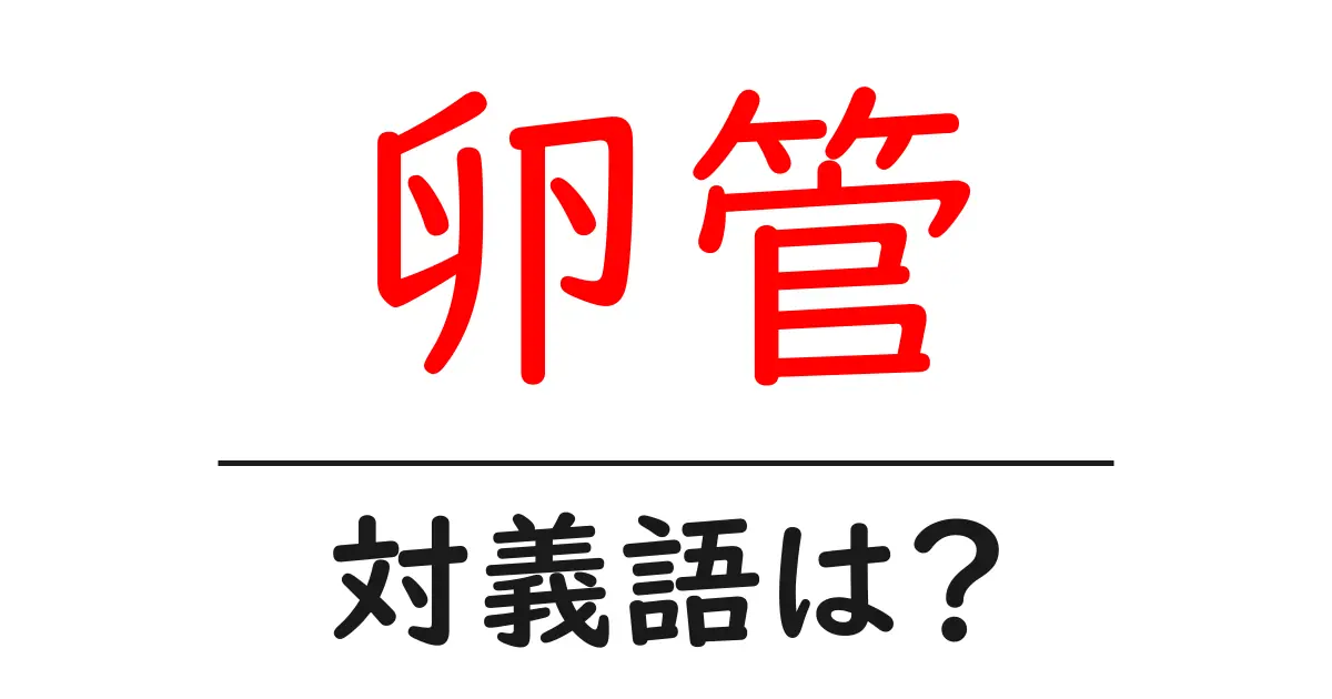卵管の対義語・反対語を使用例を交えて分かりやすく解説!