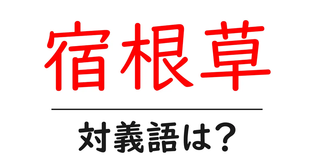 宿根草の対義語・反対語を使用例を交えて分かりやすく解説!