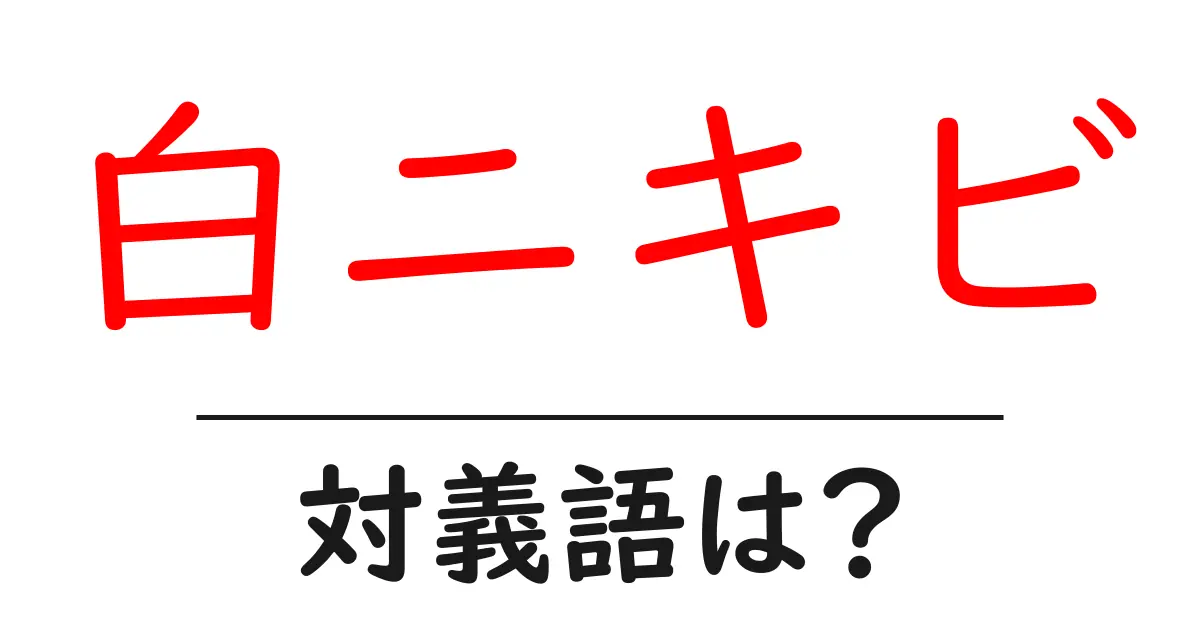 白ニキビの対義語・反対語を使用例を交えて分かりやすく解説！