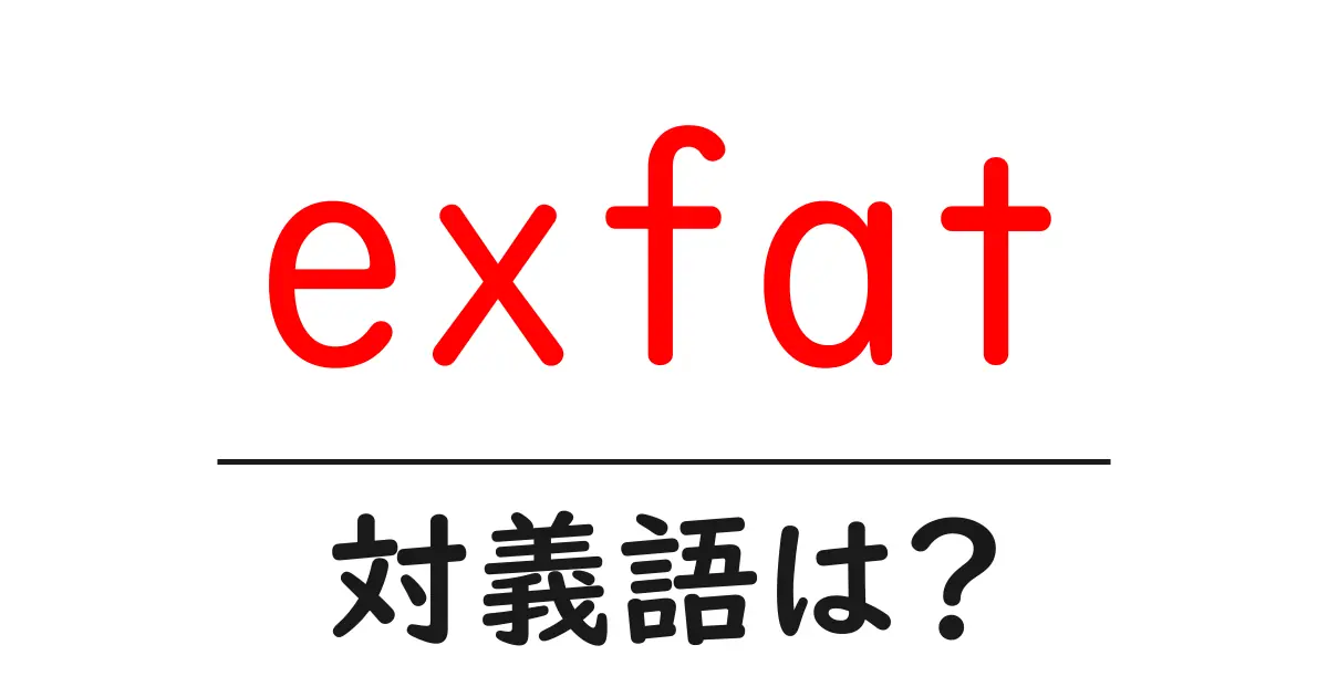 exfatの対義語・反対語を使用例を交えて分かりやすく解説!