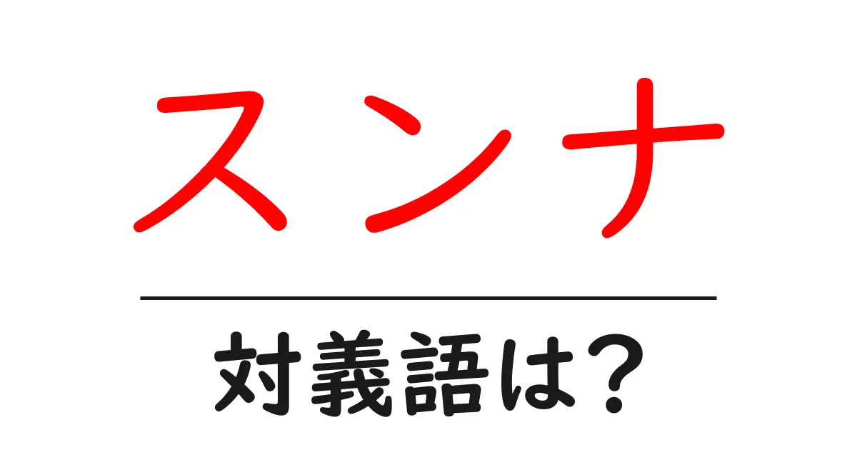 スンナの対義語・反対語を使用例を交えて分かりやすく解説!