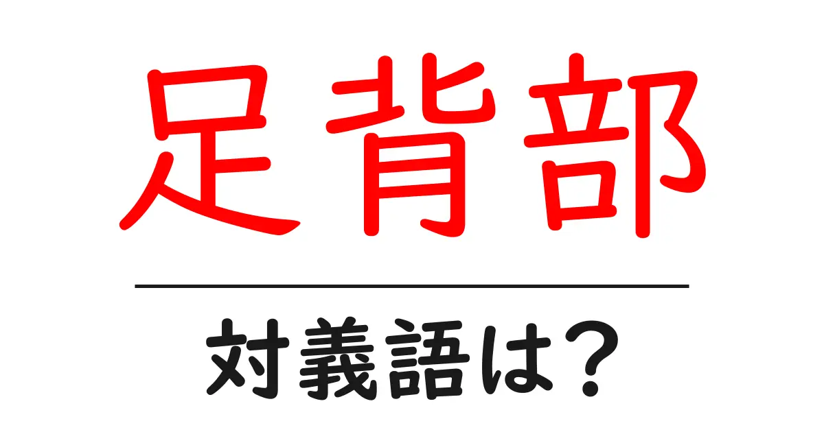 足背部の対義語・反対語を使用例を交えて分かりやすく解説!