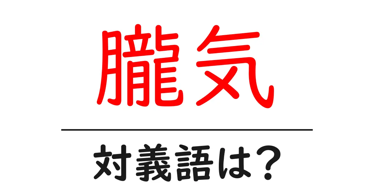 朧気の対義語・反対語を使用例を交えて分かりやすく解説!