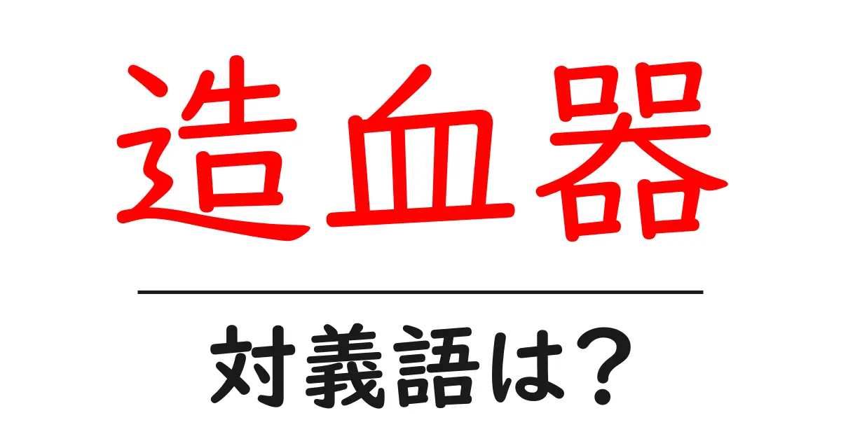 造血器の対義語・反対語を使用例を交えて分かりやすく解説!