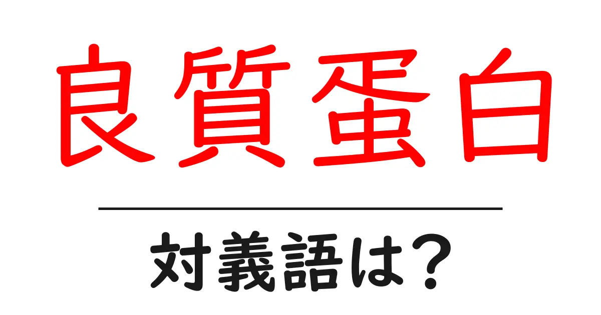 良質蛋白の対義語・反対語を使用例を交えて分かりやすく解説!