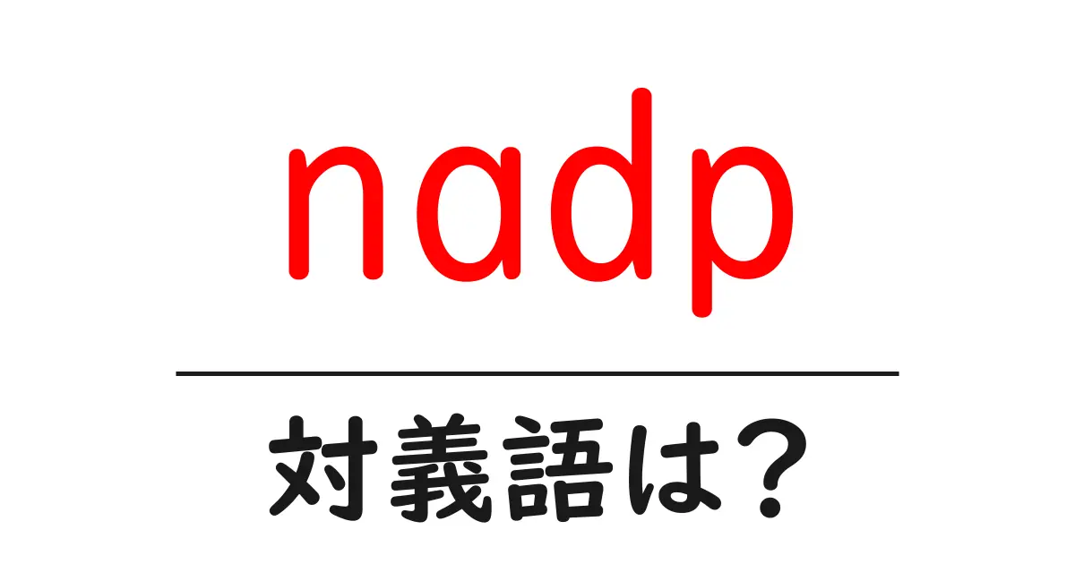 nadpの対義語・反対語を使用例を交えて分かりやすく解説!