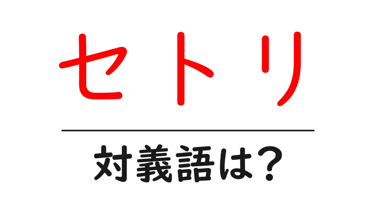 セトリの対義語・反対語を使用例を交えて分かりやすく解説！