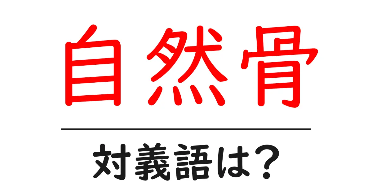 自然骨の対義語・反対語を使用例を交えて分かりやすく解説!