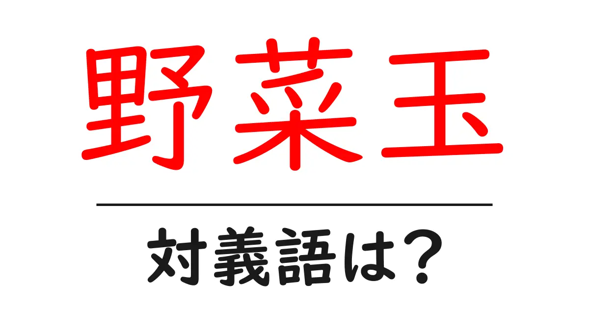 野菜玉の対義語・反対語を使用例を交えて分かりやすく解説！