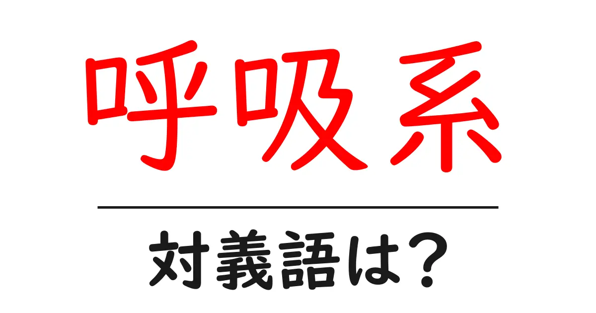 呼吸系の対義語・反対語を使用例を交えて分かりやすく解説!