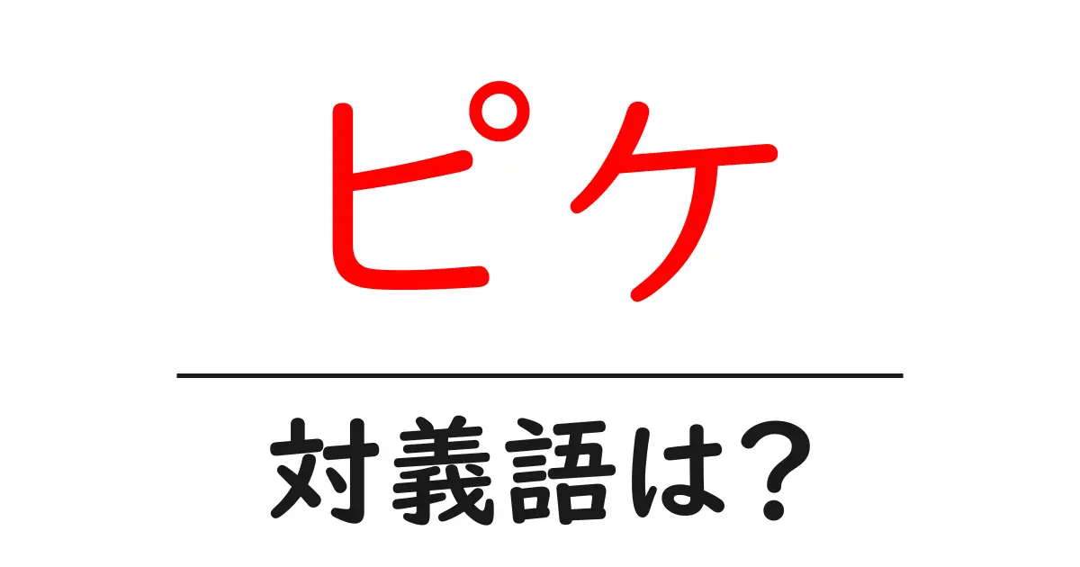 ピケの対義語・反対語を使用例を交えて分かりやすく解説!