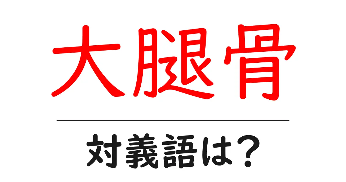 大腿骨の対義語・反対語を使用例を交えて分かりやすく解説!