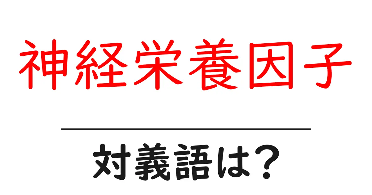 神経栄養因子の対義語・反対語を使用例を交えて分かりやすく解説!