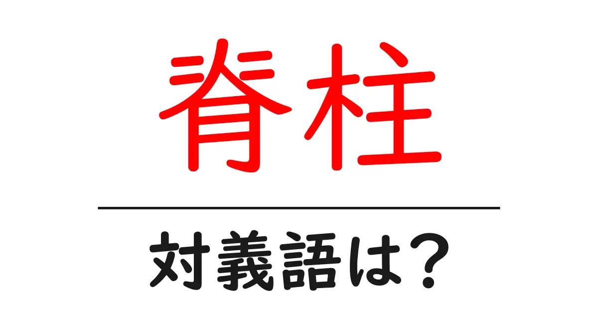 脊柱の対義語・反対語を使用例を交えて分かりやすく解説！