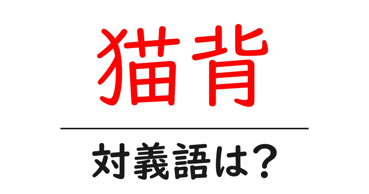 猫背の対義語・反対語を使用例を交えて分かりやすく解説!