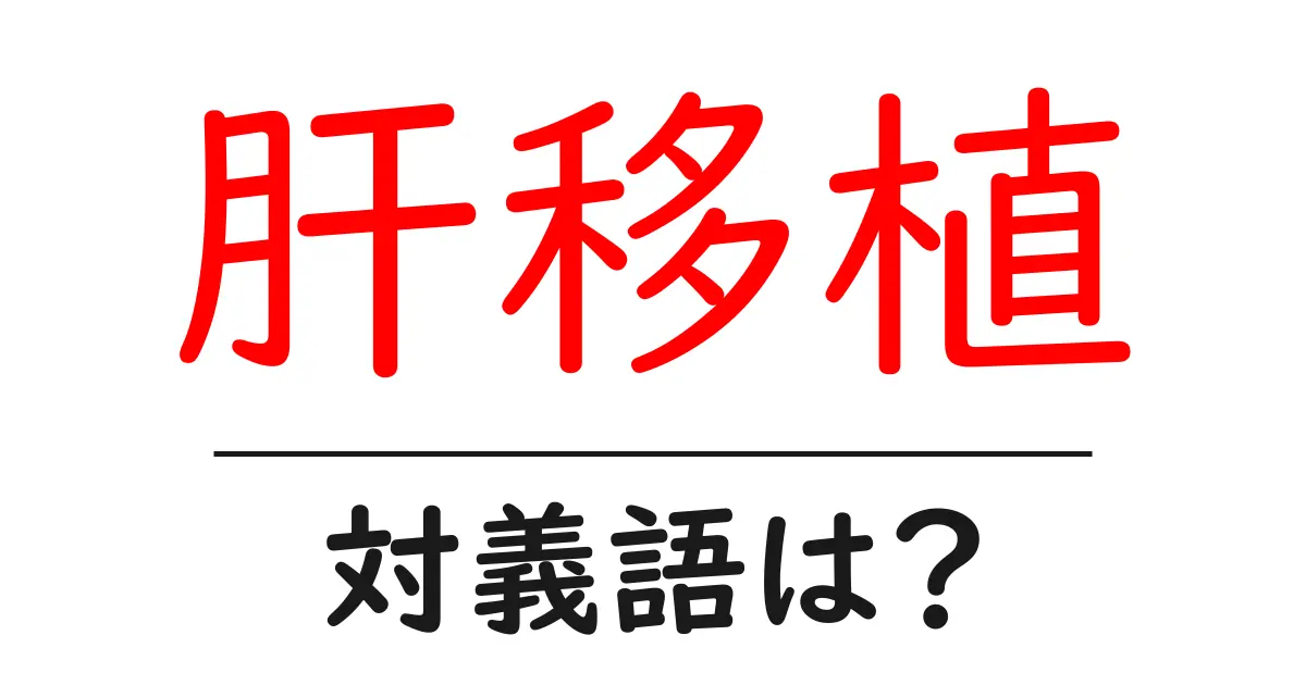肝移植の対義語・反対語を使用例を交えて分かりやすく解説!