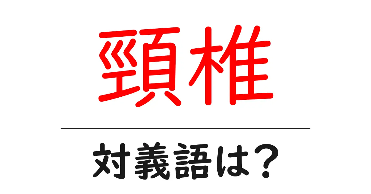 頸椎の対義語・反対語を使用例を交えて分かりやすく解説!
