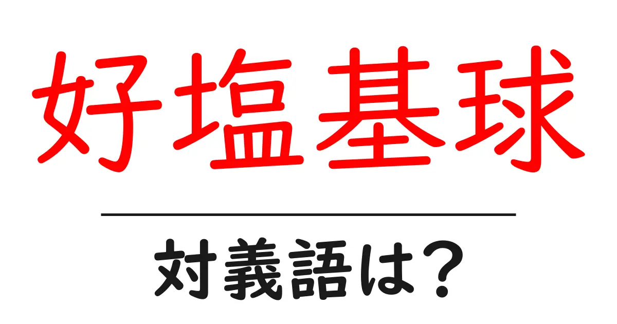 好塩基球の対義語・反対語を使用例を交えて分かりやすく解説!