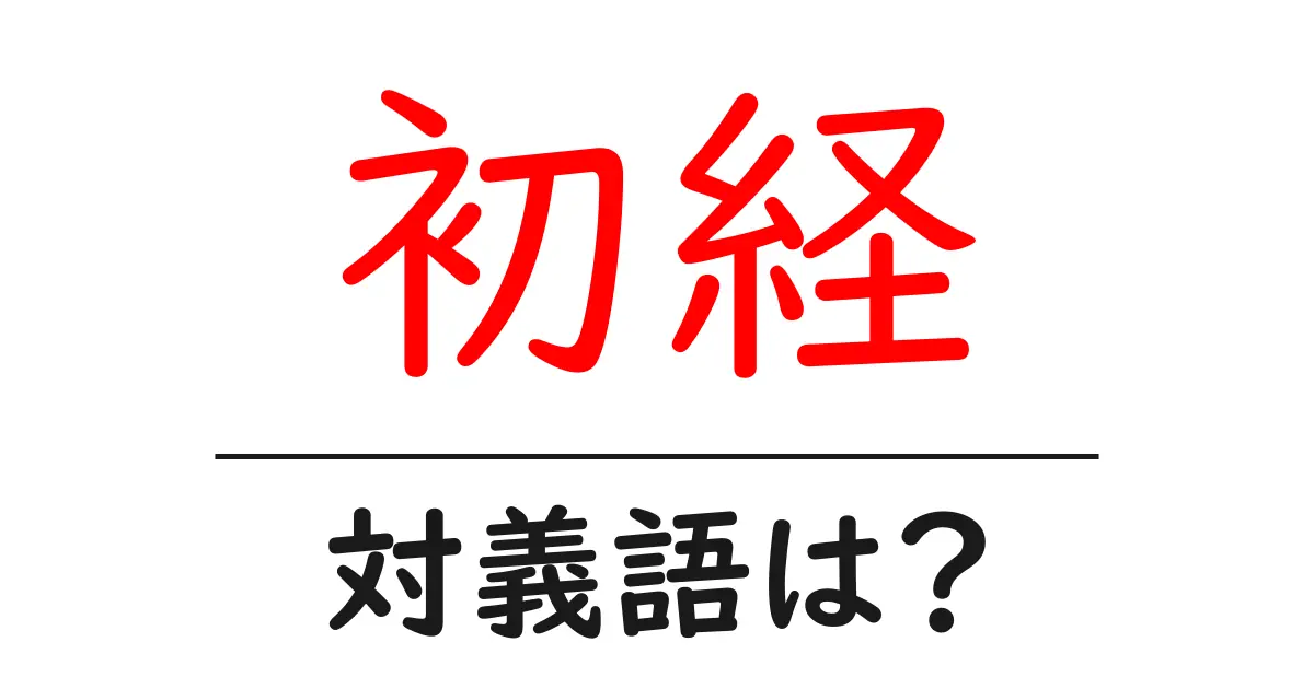 初経の対義語・反対語を使用例を交えて分かりやすく解説!