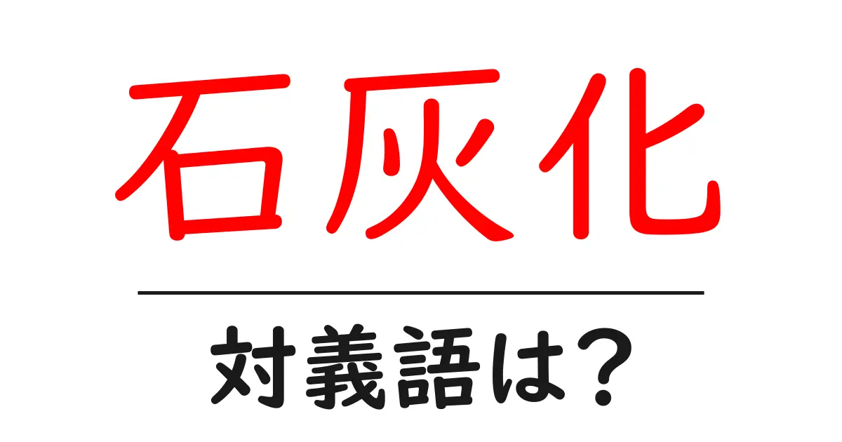 石灰化の対義語・反対語を使用例を交えて分かりやすく解説!