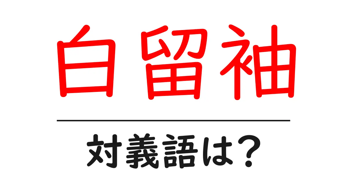 白留袖の対義語・反対語を使用例を交えて分かりやすく解説!