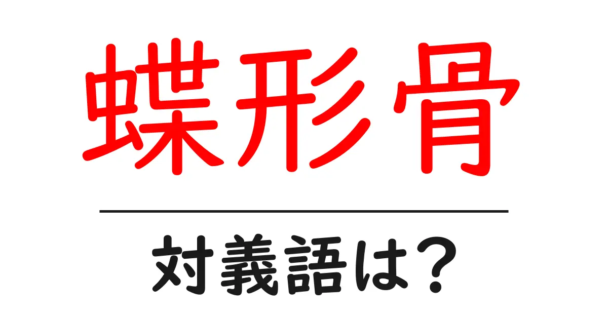 蝶形骨の対義語・反対語を使用例を交えて分かりやすく解説！