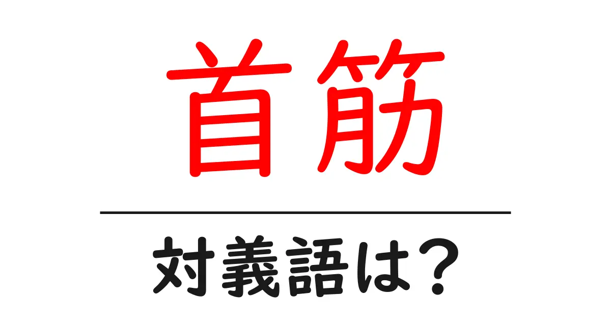 首筋の対義語・反対語を使用例を交えて分かりやすく解説!