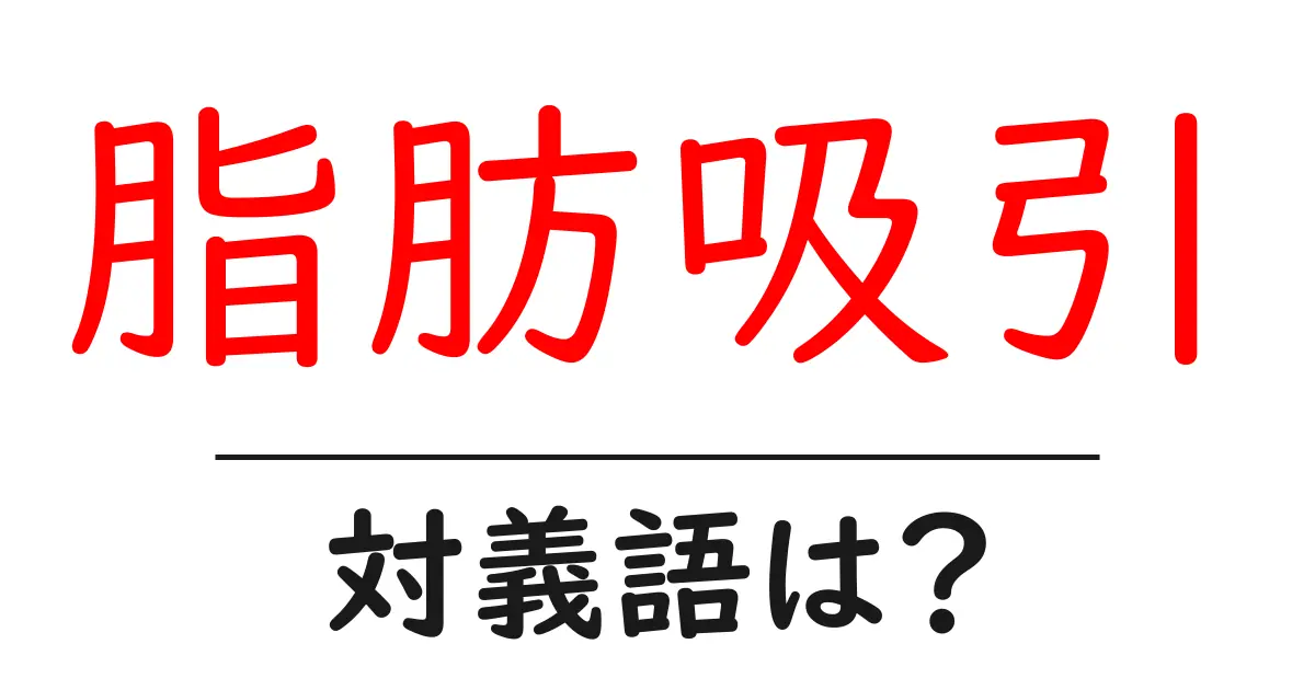 脂肪吸引の対義語・反対語を使用例を交えて分かりやすく解説!