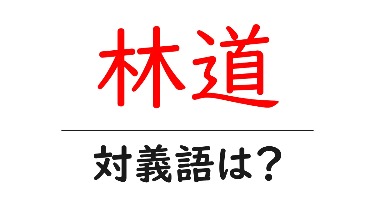 林道の対義語・反対語を使用例を交えて分かりやすく解説!