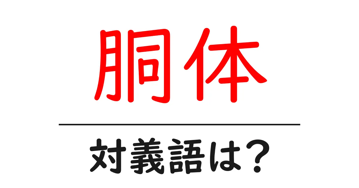 胴体の対義語・反対語を使用例を交えて分かりやすく解説!