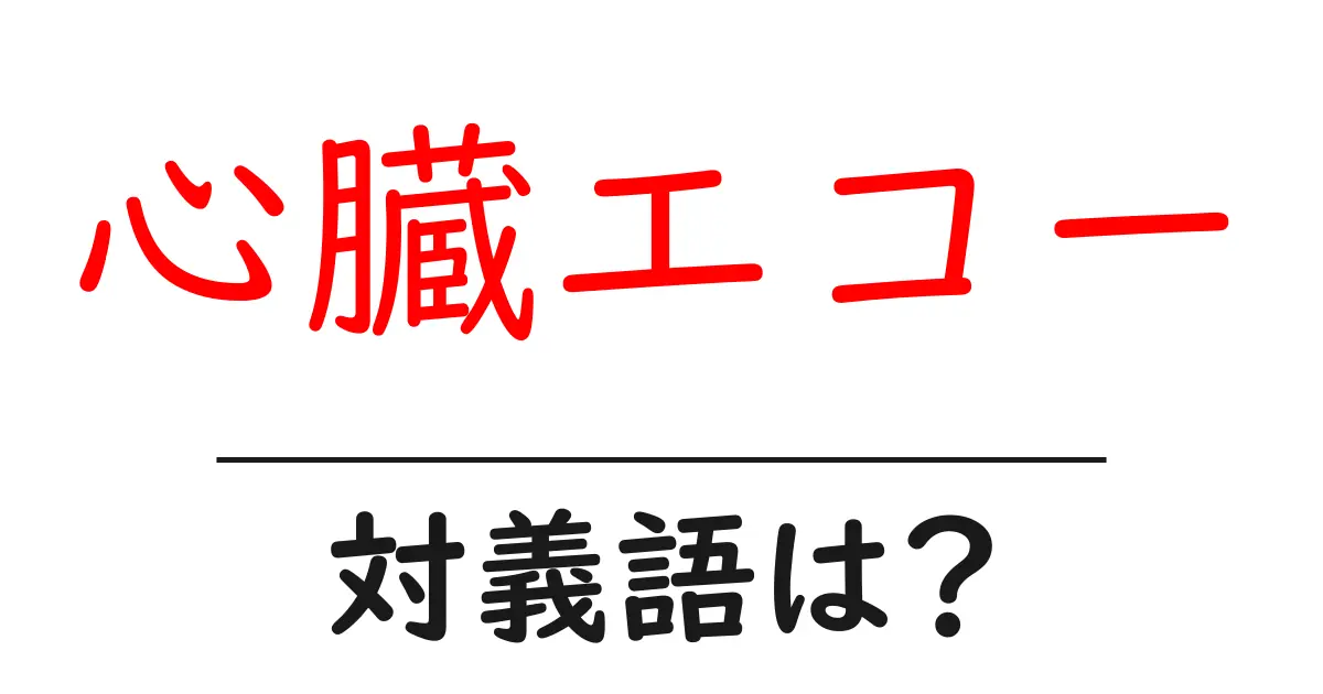 心臓エコーの対義語・反対語を使用例を交えて分かりやすく解説!