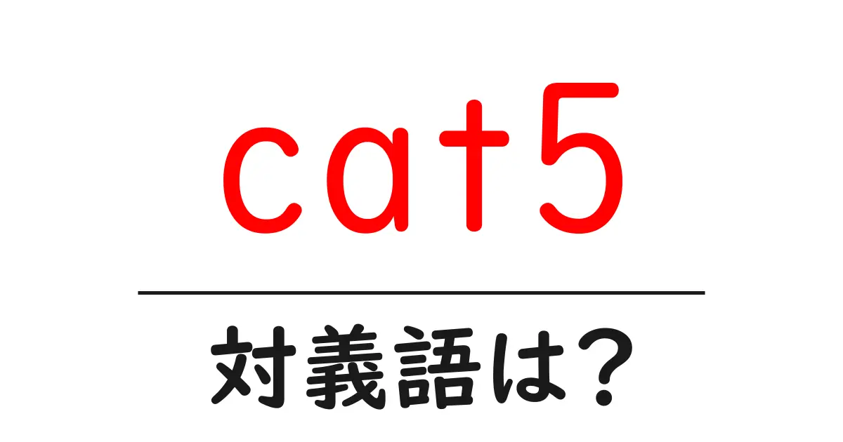 cat5の対義語・反対語を使用例を交えて分かりやすく解説!