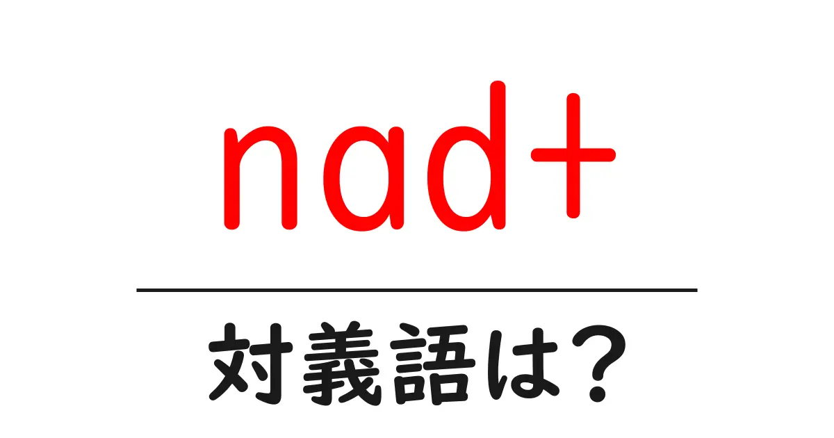 nad+の対義語・反対語を使用例を交えて分かりやすく解説!