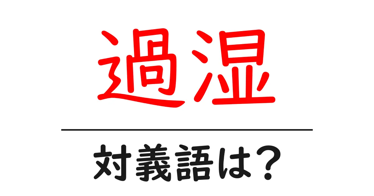 過湿の対義語・反対語を使用例を交えて分かりやすく解説!