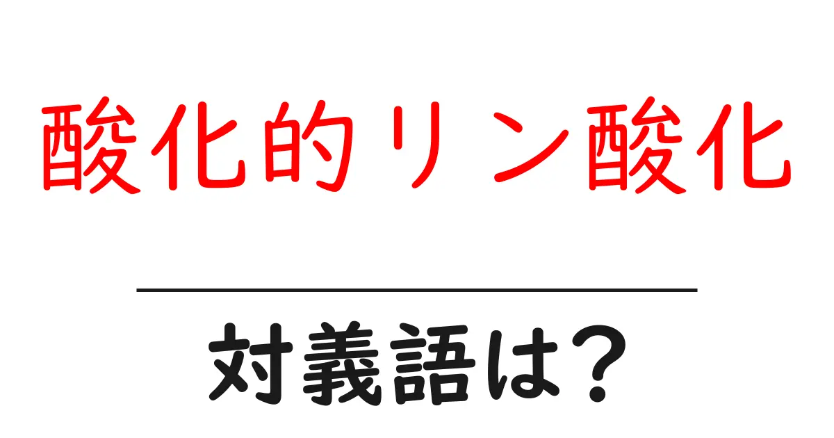 酸化的リン酸化の対義語・反対語を使用例を交えて分かりやすく解説!