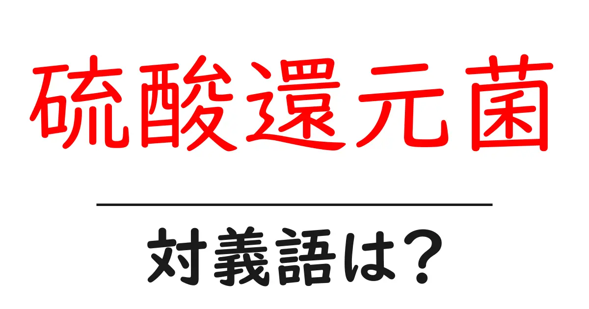 硫酸還元菌の対義語・反対語を使用例を交えて分かりやすく解説!