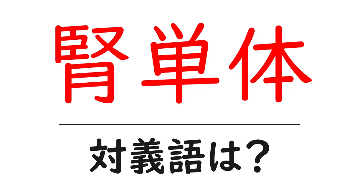 腎単体の対義語・反対語を使用例を交えて分かりやすく解説！