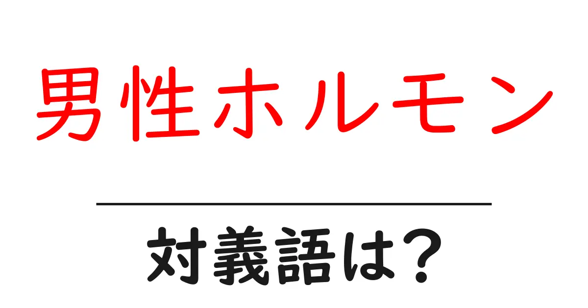 男性ホルモンの対義語・反対語を使用例を交えて分かりやすく解説!