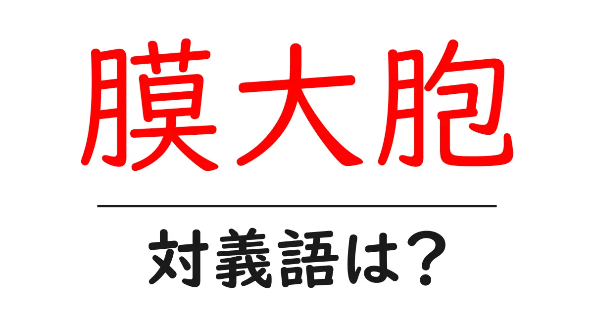 膜大胞の対義語・反対語を使用例を交えて分かりやすく解説!
