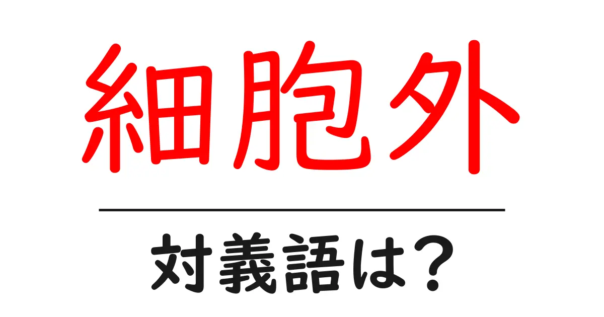 細胞外の対義語・反対語を使用例を交えて分かりやすく解説！