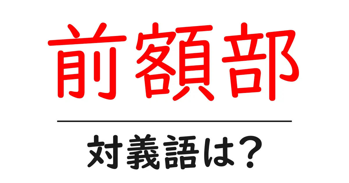 前額部の対義語・反対語を使用例を交えて分かりやすく解説!