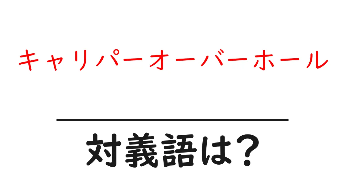 キャリパーオーバーホールの対義語・反対語を使用例を交えて分かりやすく解説!