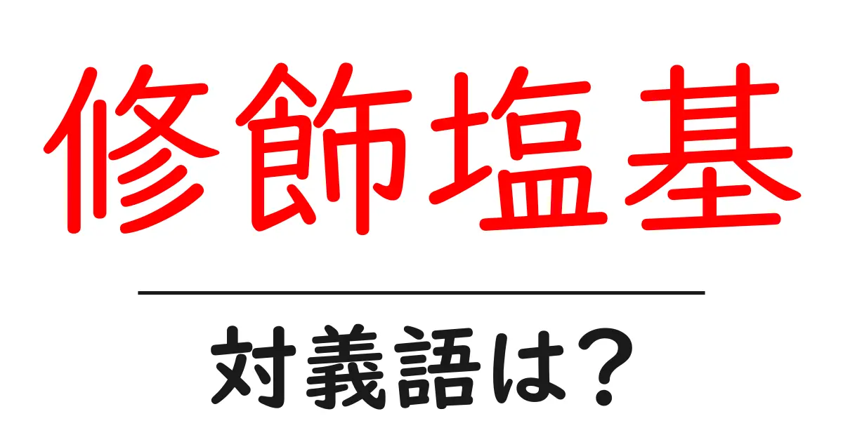 修飾塩基の対義語・反対語を使用例を交えて分かりやすく解説!