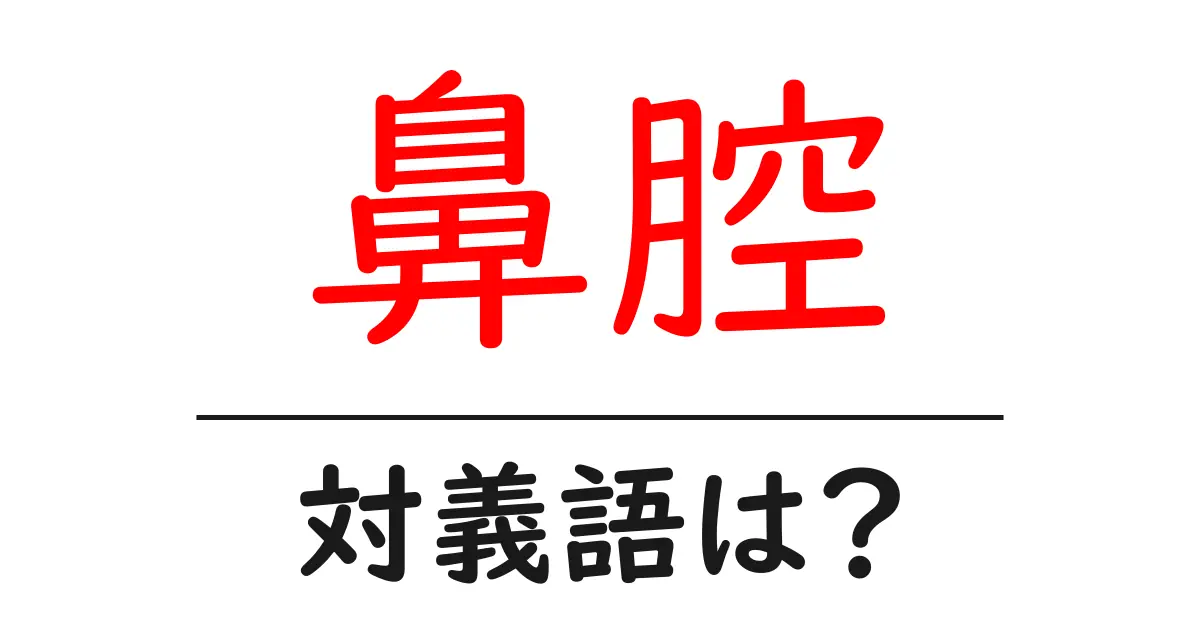 鼻腔の対義語・反対語を使用例を交えて分かりやすく解説!