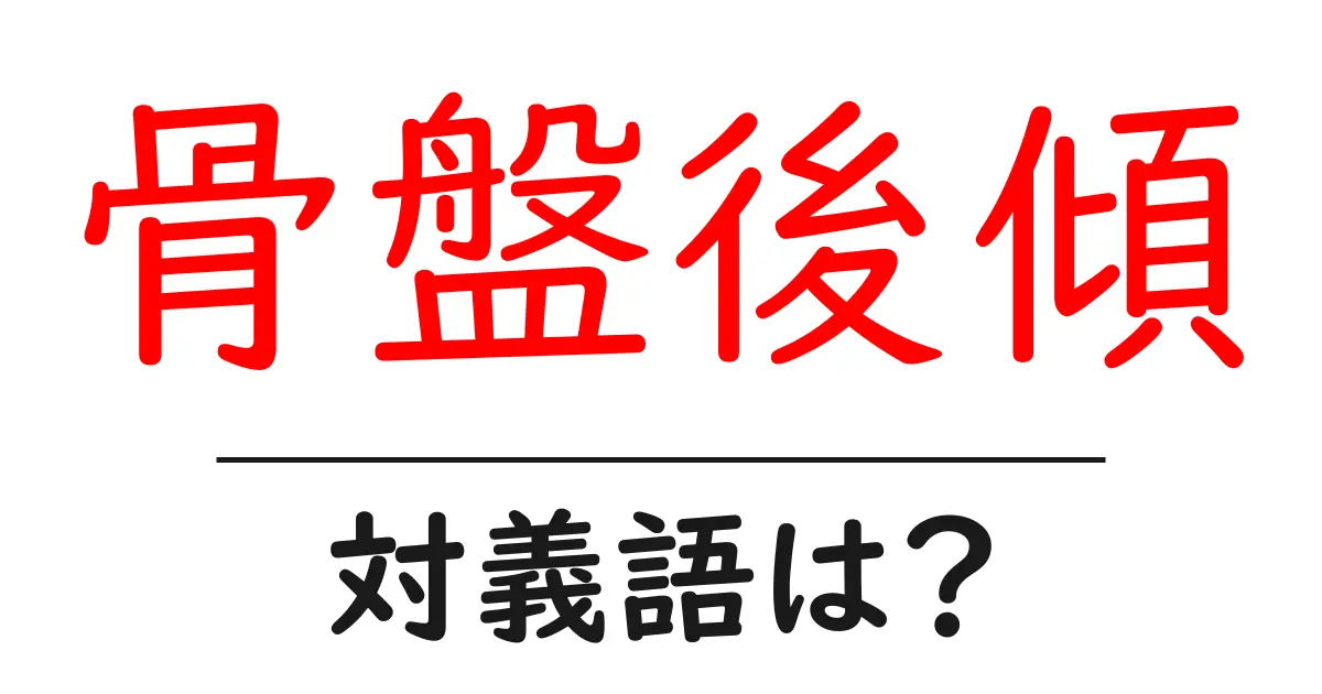骨盤後傾の対義語・反対語を使用例を交えて分かりやすく解説!
