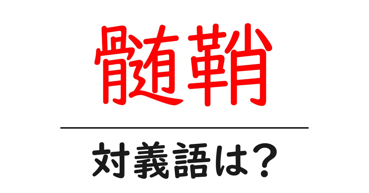 髄鞘の対義語・反対語を使用例を交えて分かりやすく解説！
