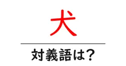 犬の対義語・反対語を使用例を交えて分かりやすく解説！